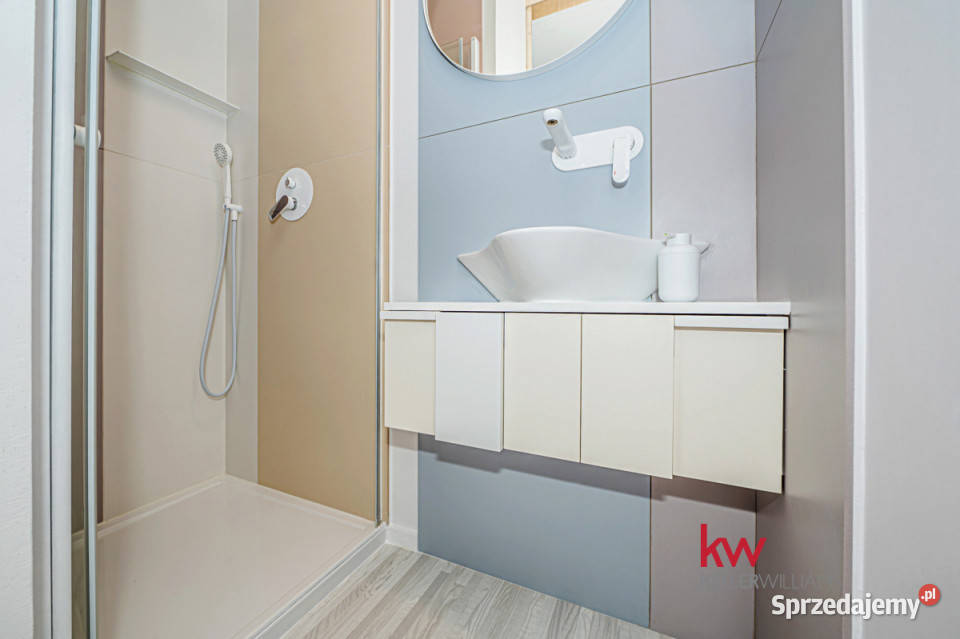 Mieszkanie 255m2 1pok Poznań Błażeja