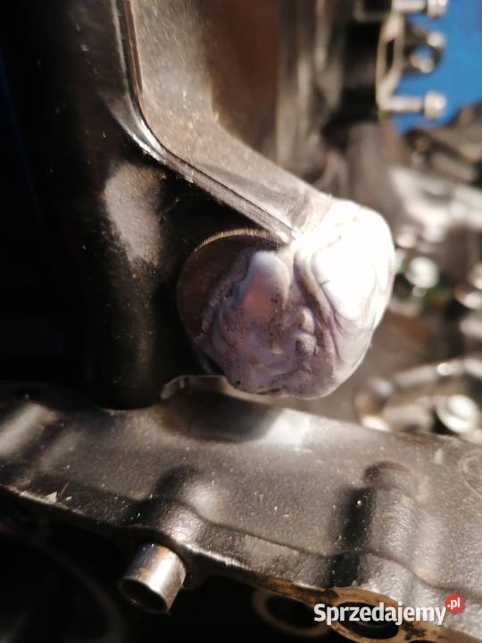 Kawasaki z 800 silnik 113 Krzyż Wielkopolski