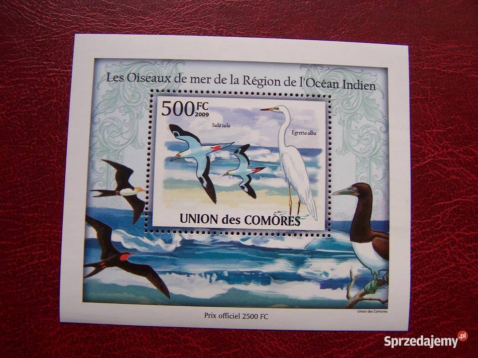 Komory 2009 MNH Fauna Ptaki Morskie Nakład 2500 Tychy
