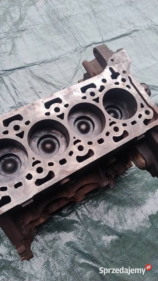 FORD TRANSIT MK8 CUSTOM 20 EcoBlue TDCI blok Blok silnika Obrzycko