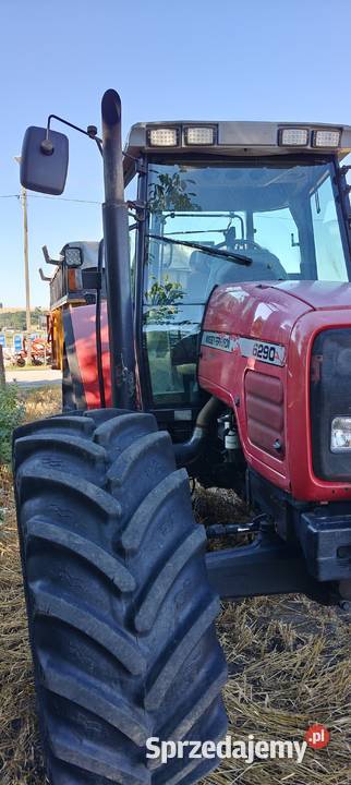 Massey Ferguson 6290 141 świętokrzyskie Kijany