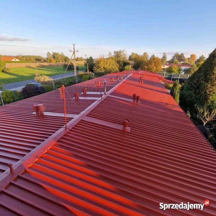 Malowanie dachów Sanok Przeworsk Czudec Pozostałe