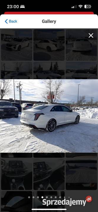 Cadillac c4 wersja sport napęd 4X4 235 koni Pozostałe