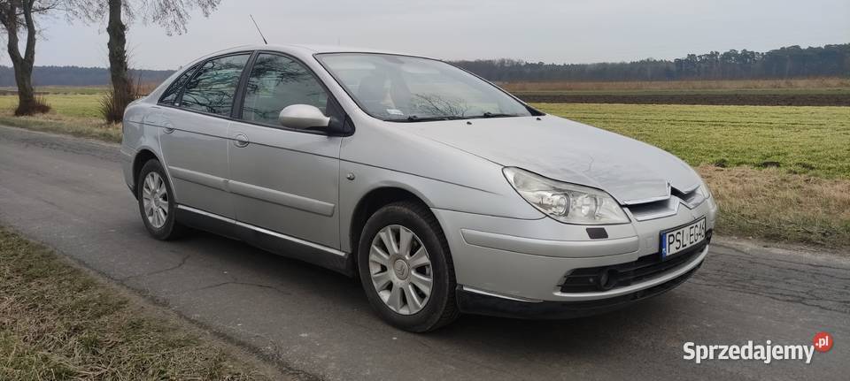 Citroen C5 wielkopolskie Kobylin