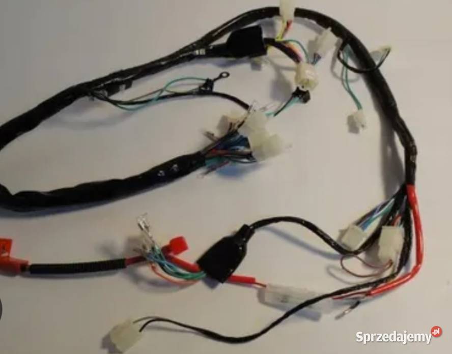 Części router ws 50 Rok produkcji 2022 Pozostałe Konin sprzedam