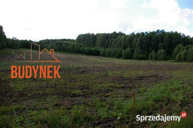 Działka rolna Lejkowo