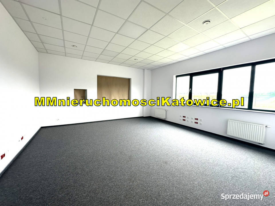 Lokal Ruda Śląska 13147m2 13147m2