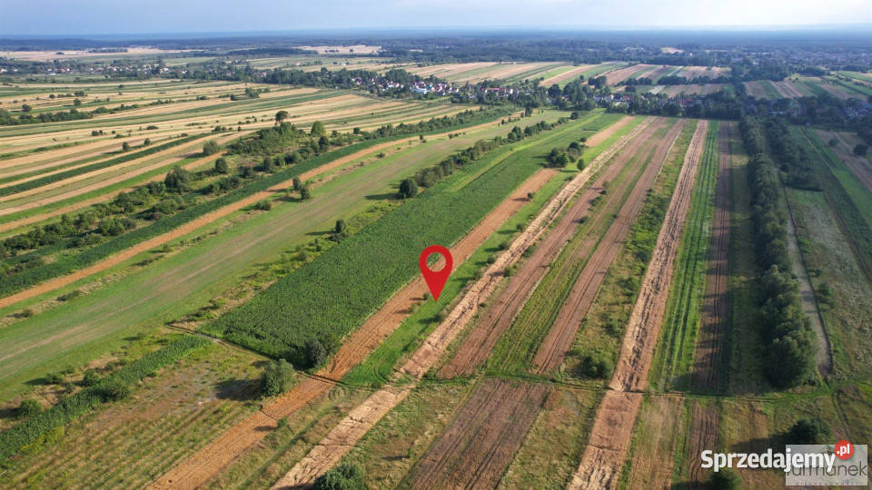 Grunt sprzedam Majdan Nepryski 30480m2 3zł/m2 lubelskie sprzedam