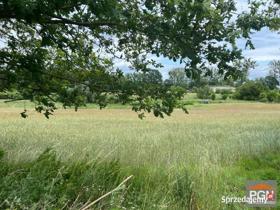 Działka 7300m2 Ościęcin rolna Grunty i działki