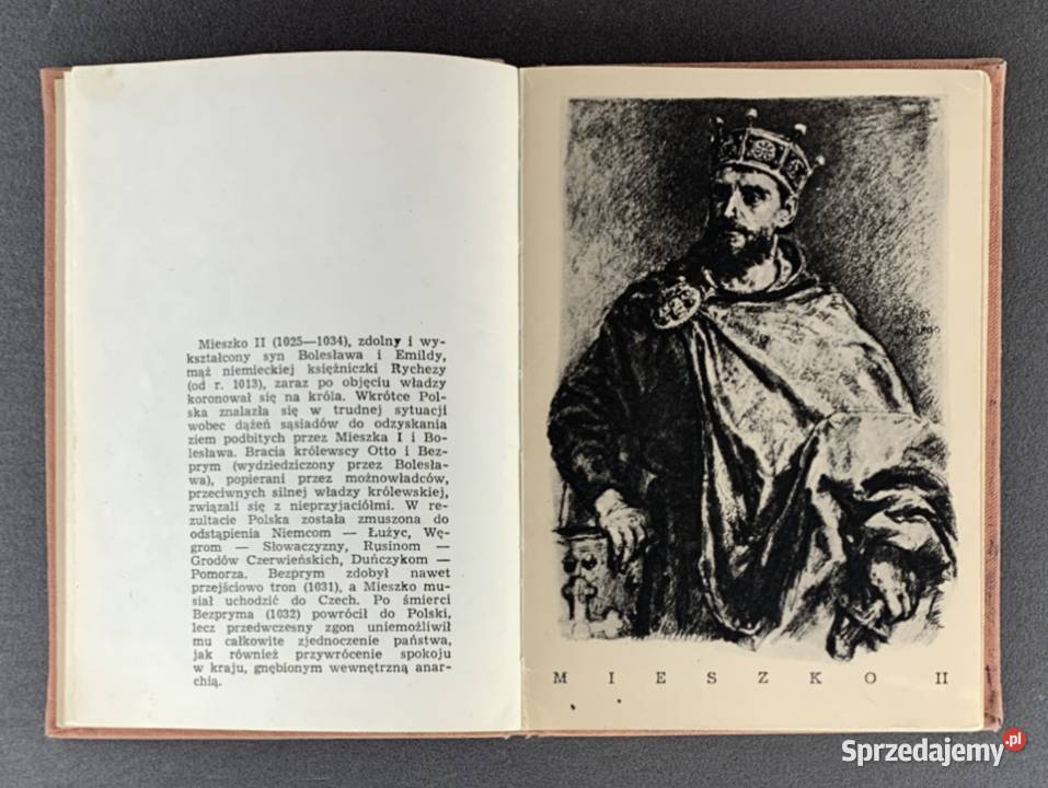 Poczet Królów Polskich Jan Matejko Kultura i Rozrywka Stalowa Wola