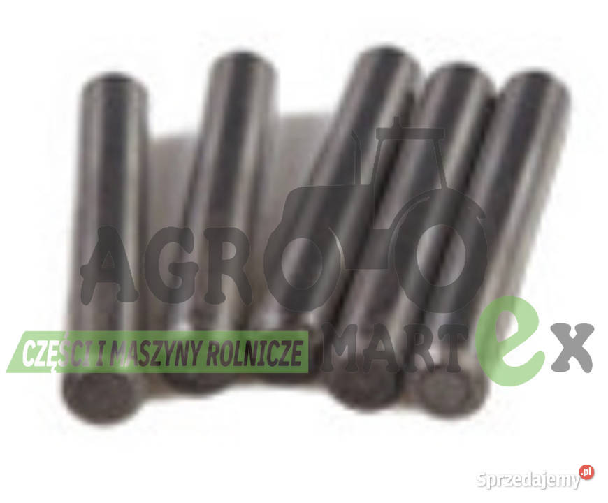 14516420 KOŁEK USTALAJĄCY M7x55 CNH Wichrów