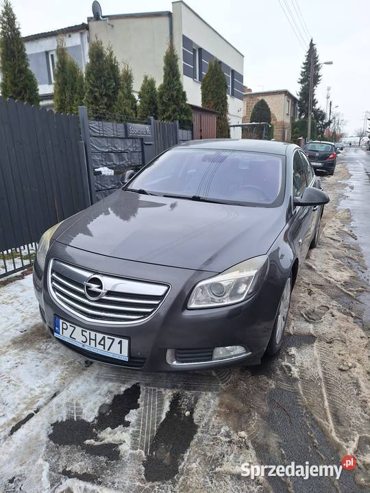 Opel insignia wielkopolskie Luboń sprzedam