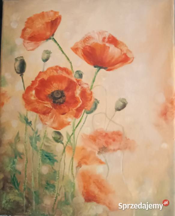 Obraz Maki lubuskie Żagań sprzedam