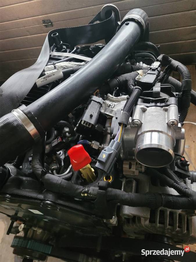 SILNIK FORD TRANSIT BLRA BLHA MK3Q6007B1A