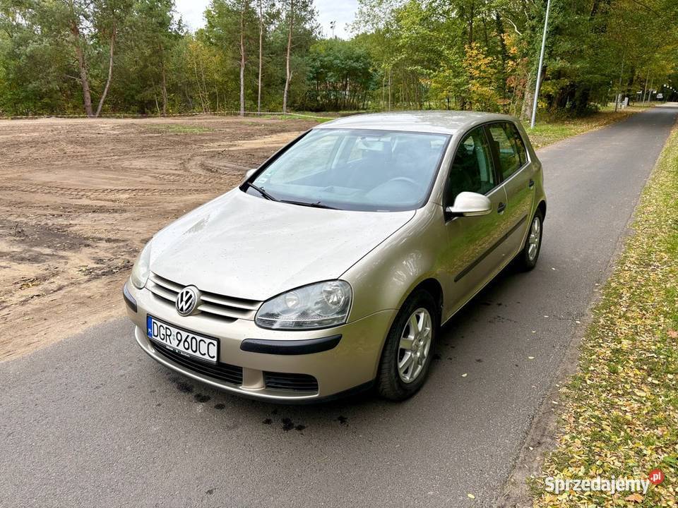 Volkswagen Golf V 14 MPI dużym serwisie Iłowa sprzedam