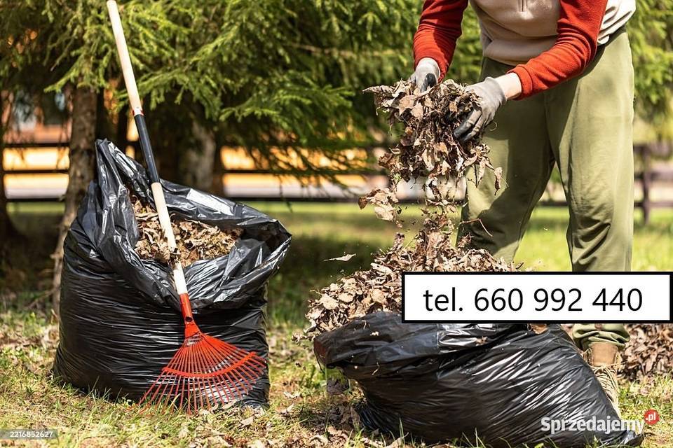 Usługa koszenia trawnika i prac porządkowych w Pruszcz Gdański prace ogrodowe