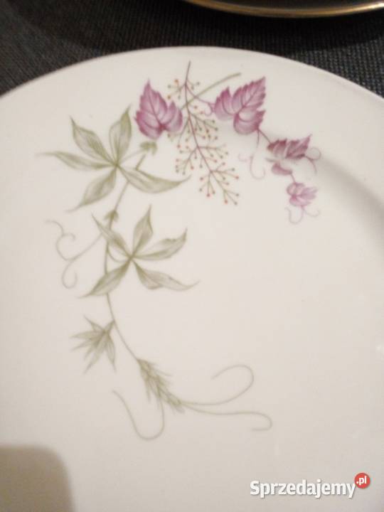 Bareuther Bavaria 1931 1950 Komplet 10 talerzy Częstochowa