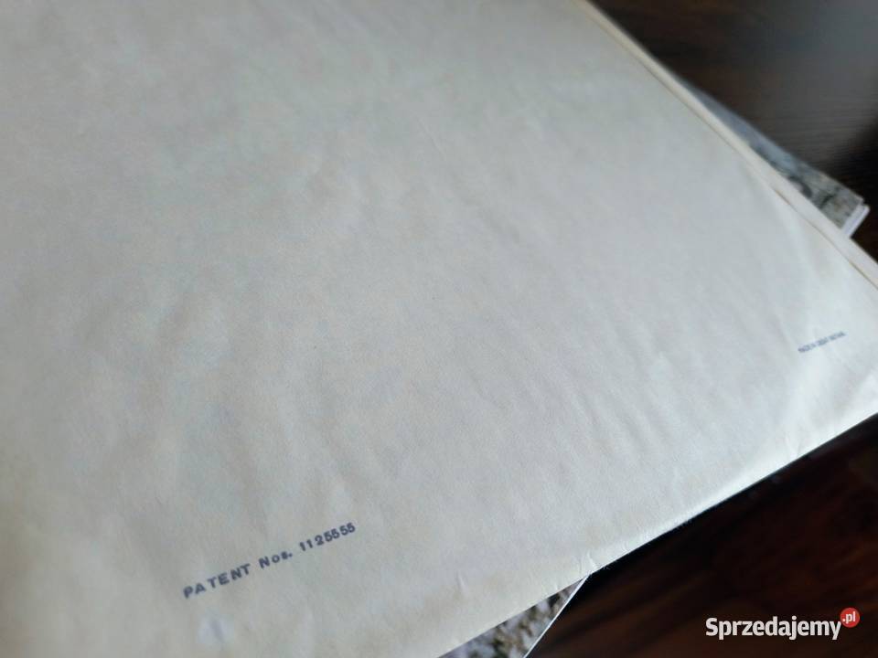 Deep Purple in Rock płyta winylowa Konary