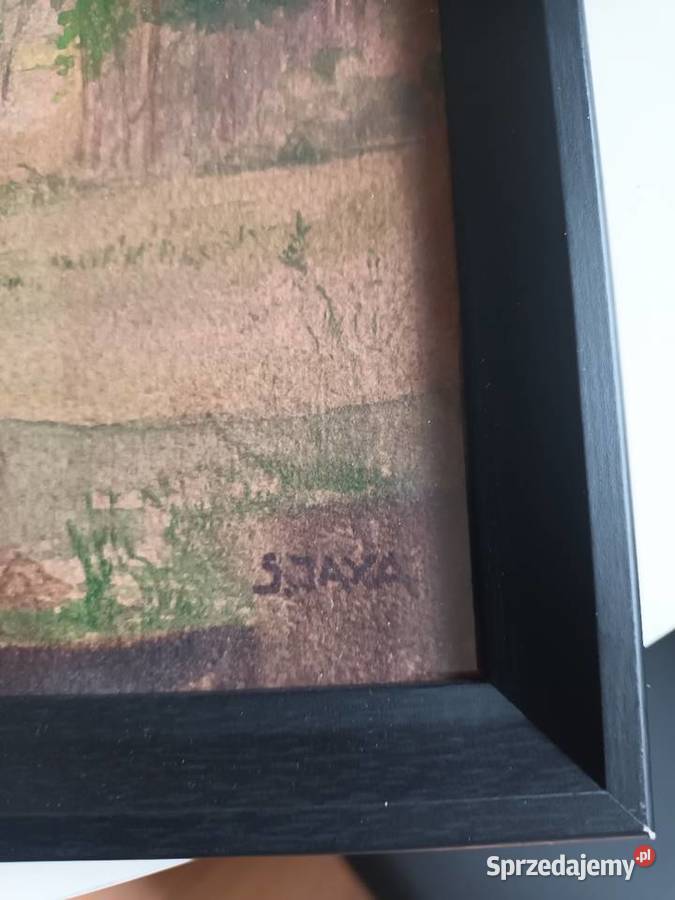 Sprzedam akwarele Malbork sprzedam