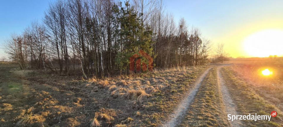 Grunt Dąbrowica 15000m2 małopolskie