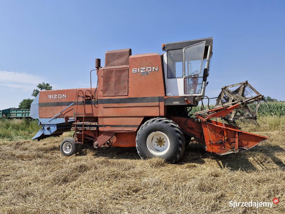 Kombajn bizon 5056 Export Zbożowe opolskie Kobylno
