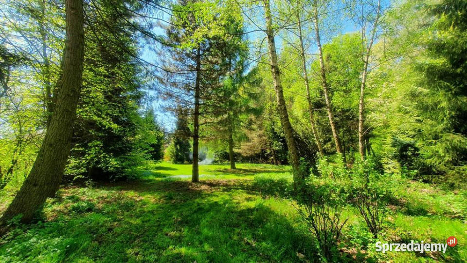 Grunt do sprzedania Zemborzyce Tereszyńskie