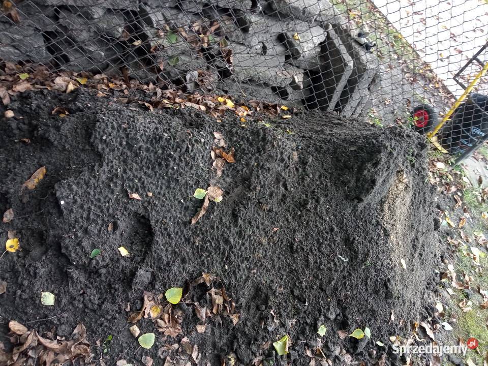 Płyty chodnikowe uszkodzone 50x50 Ziemia śląskie Dąbrowa Górnicza sprzedam