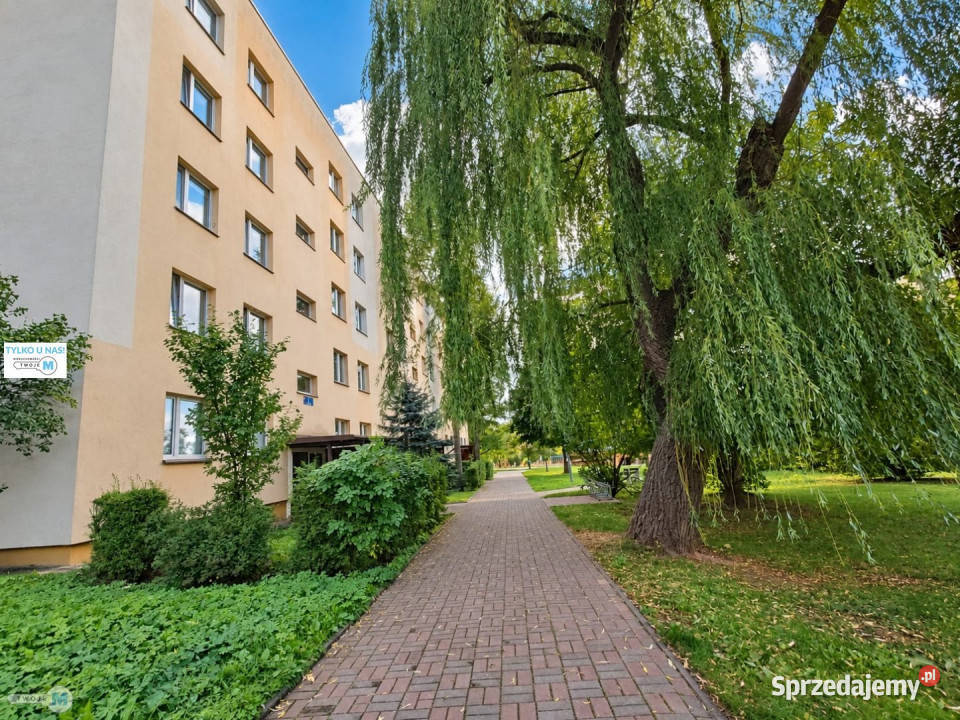 Sprzedam mieszkanie Kielce 589m2 świętokrzyskie sprzedam