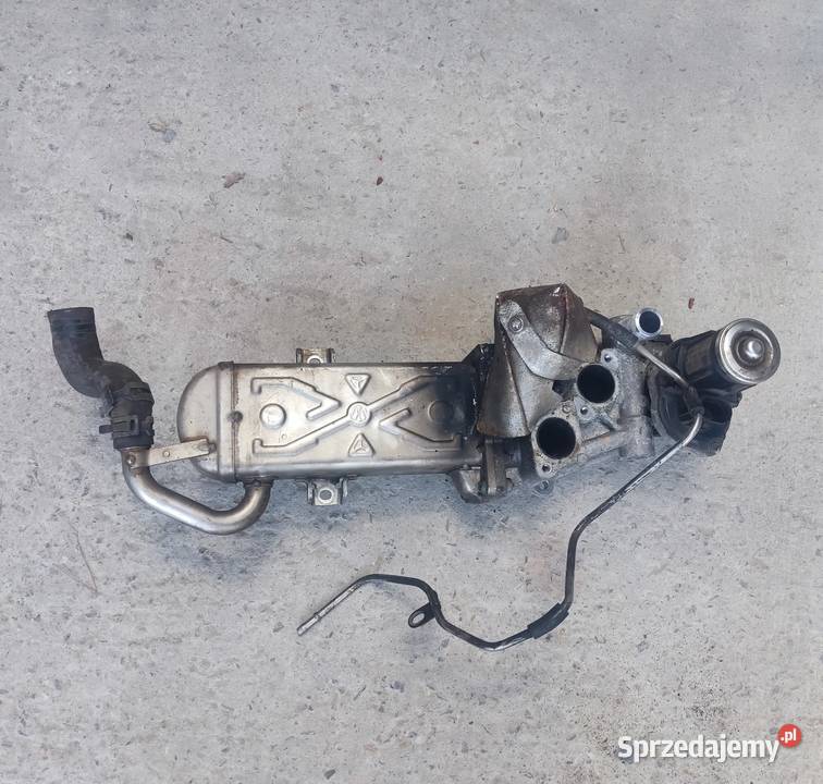 VW PASSAT B7 GOLF PLUS 6 CHŁODNICA SPALIN ZAWÓR Radom