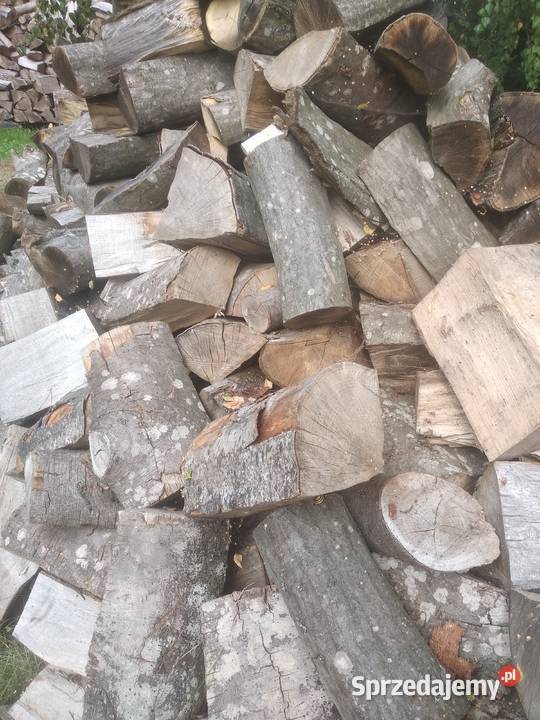 Srzewo kominkowe i opałowe sezonowane warmińsko-mazurskie Elbląg