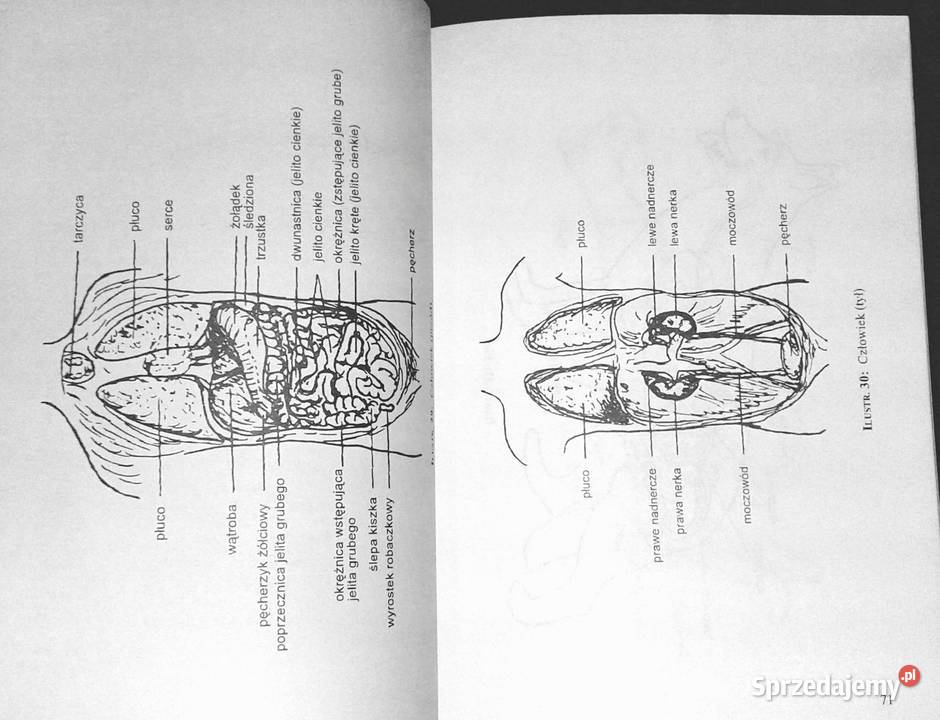 Reiki Wylecz się sam Brigitte Muller Horst H Chełm sprzedam