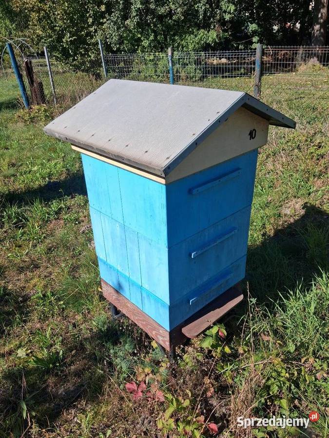 Ule pasieki Dąbrowa Górnicza