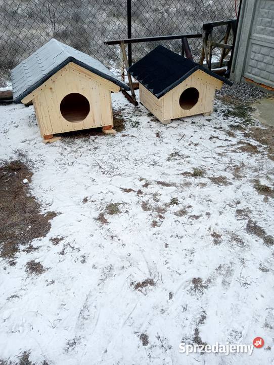 Buda psa legowisko Pionki