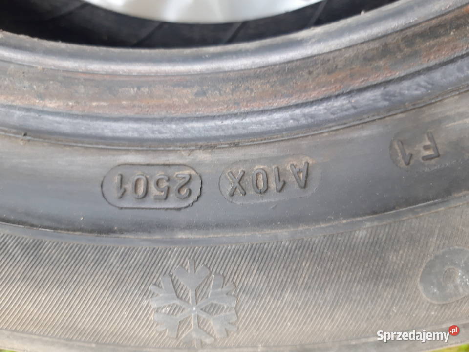 Kormoran SNOWPRO 1856514 kp 4 sztuki Kostomłoty Drugie