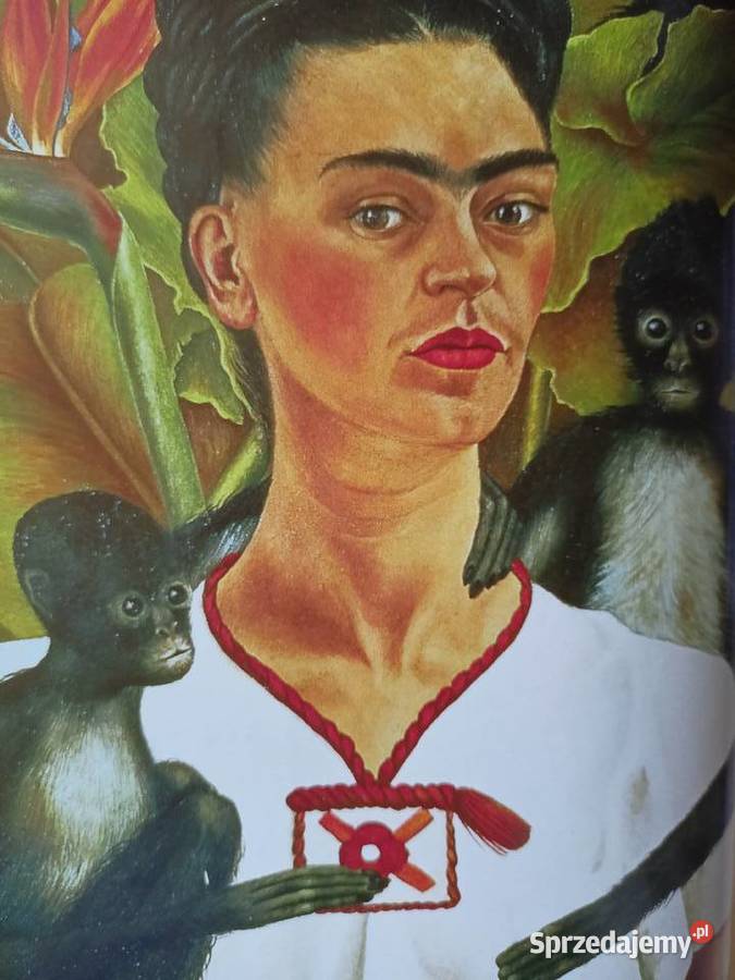 Frida książki Warszawa księgarnia Praga twarda Poradniki, albumy i reportaże