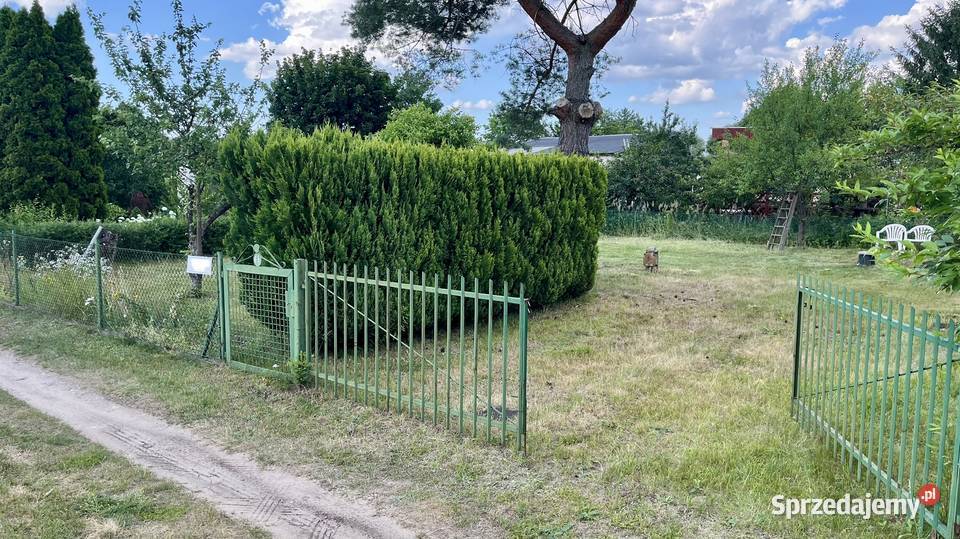 Działka ROD Bydgoszcz do własnej aranżacji 290m kujawsko-pomorskie