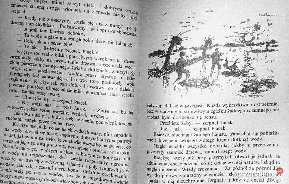 O dwóch takich co ukradli księżyc Kornel Chełm sprzedam