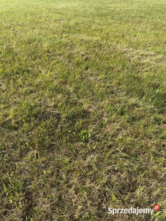 Działka Dźwirzyno 3000m2 zachodniopomorskie