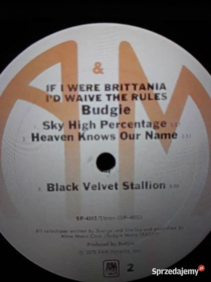 Klasyka BUDGIE If I Were Brittania Id Waive The Rzeszów