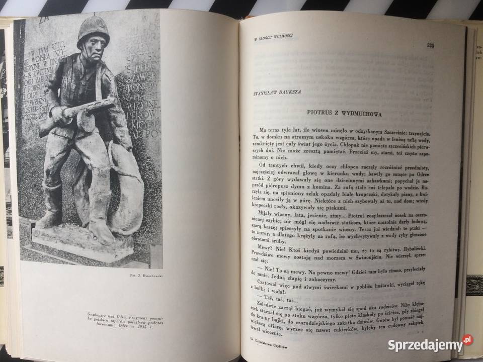 3589 Dziedzictwo Gryfitów