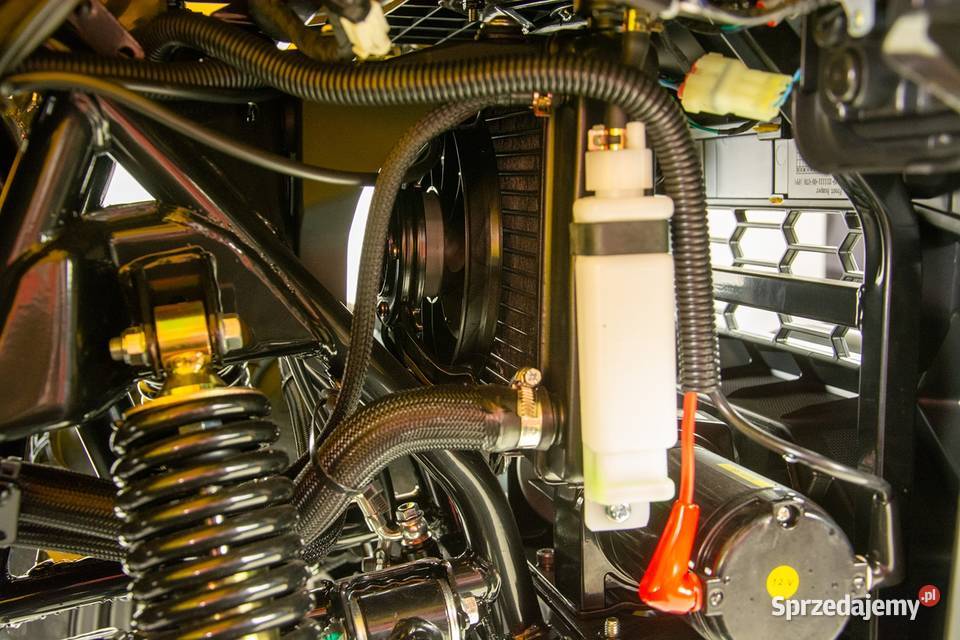 Dostawa Quad ASIX GLADIATOR 300 Mocny Promocja Ciechanów