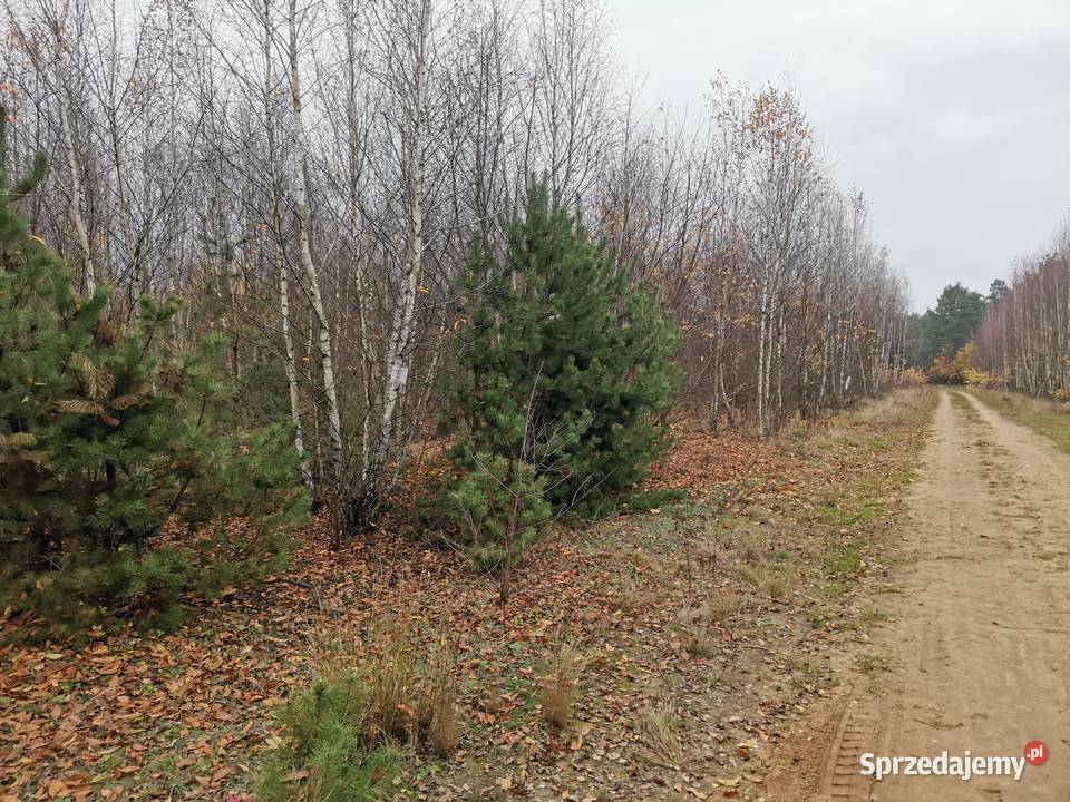 Działka budowlana z wz 750m2 Grabie Osada 7