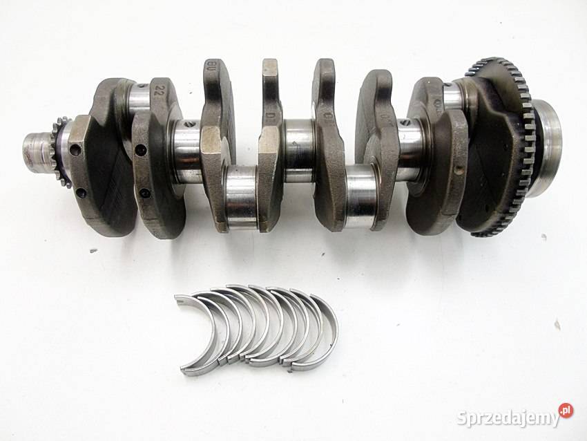 WAŁ KORBOWY 19 TDI PASSAT B5 SUPERB A4 B6 A6 C5 Blok silnika Sosnowiec