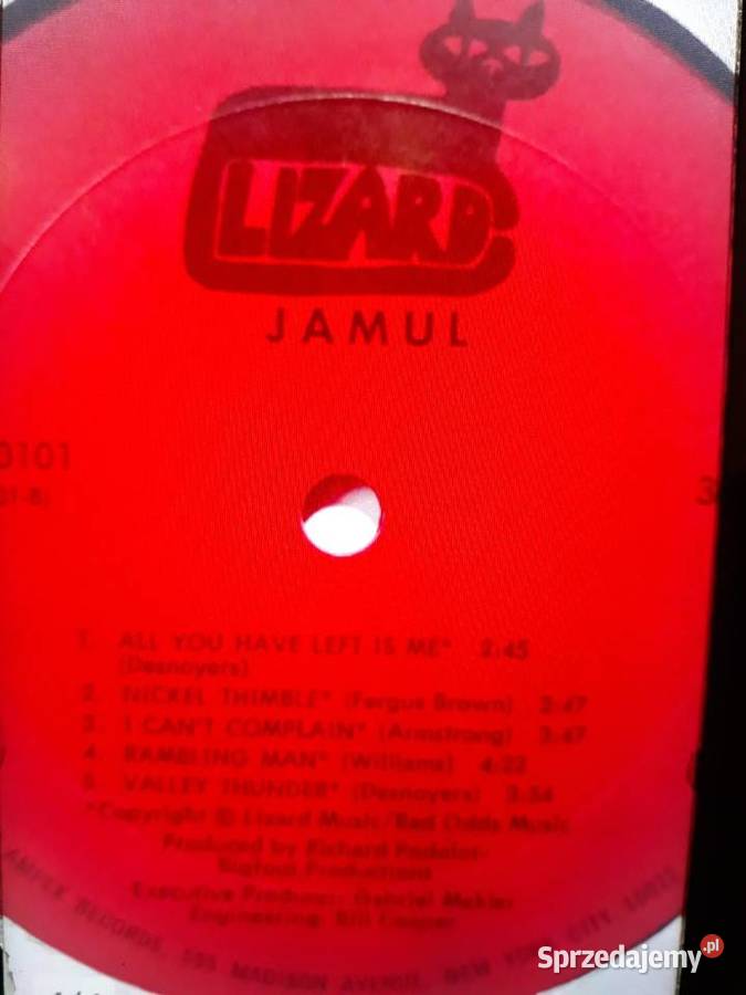 Biały kruk na czarnym winylu JAMUL Jamul 1970