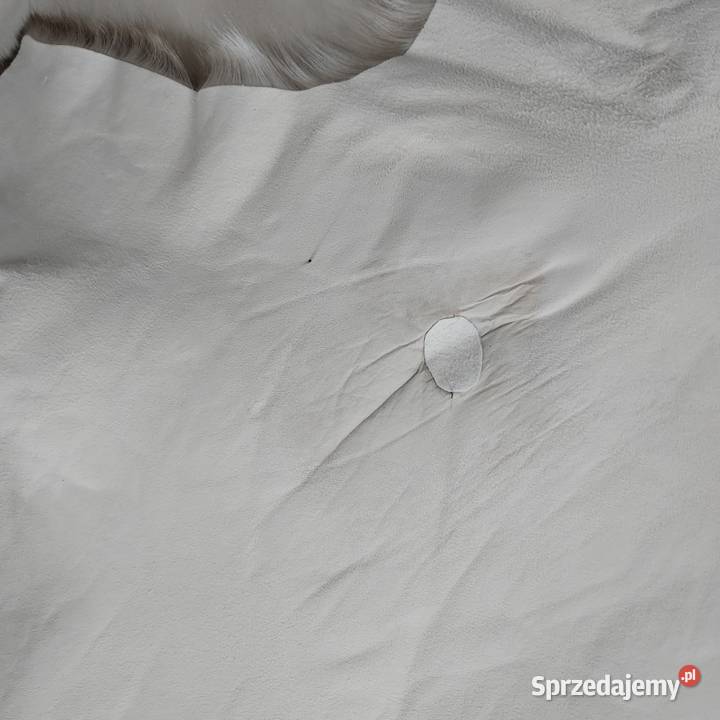 Renifer Skandynawski Naturalna Dekoracyjna Skóra sprzedam