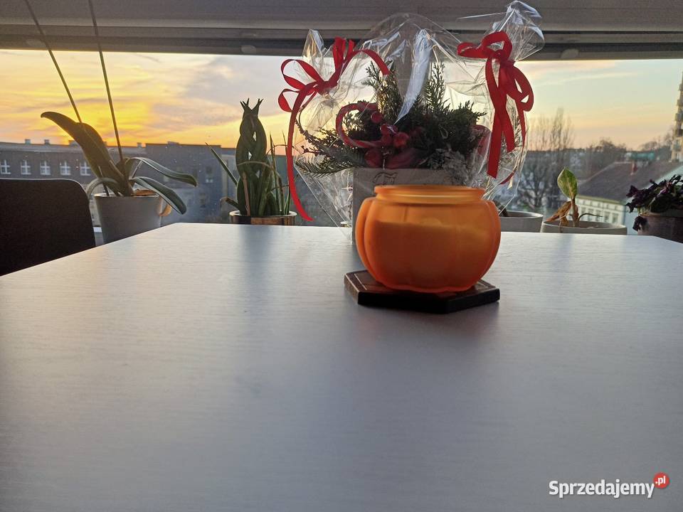 Mieszkanie w centrum Gorzowa Nowe budownictwo internet