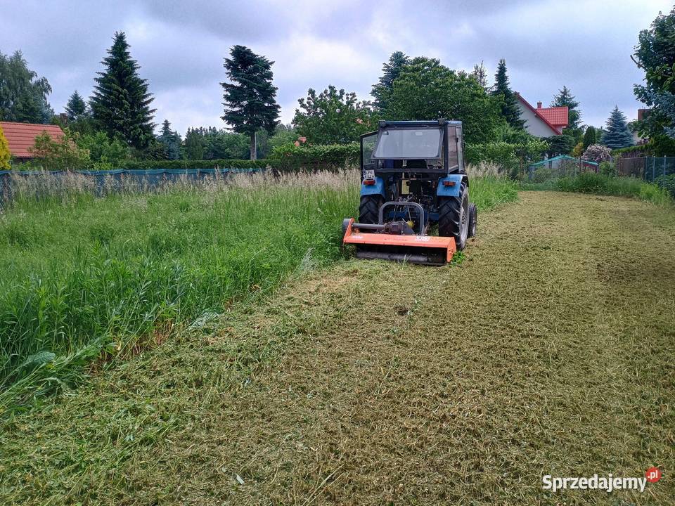 Koszenie trawyCzyszczenie karczowanie Pielęgnacja ogrodów i trawników Puławy