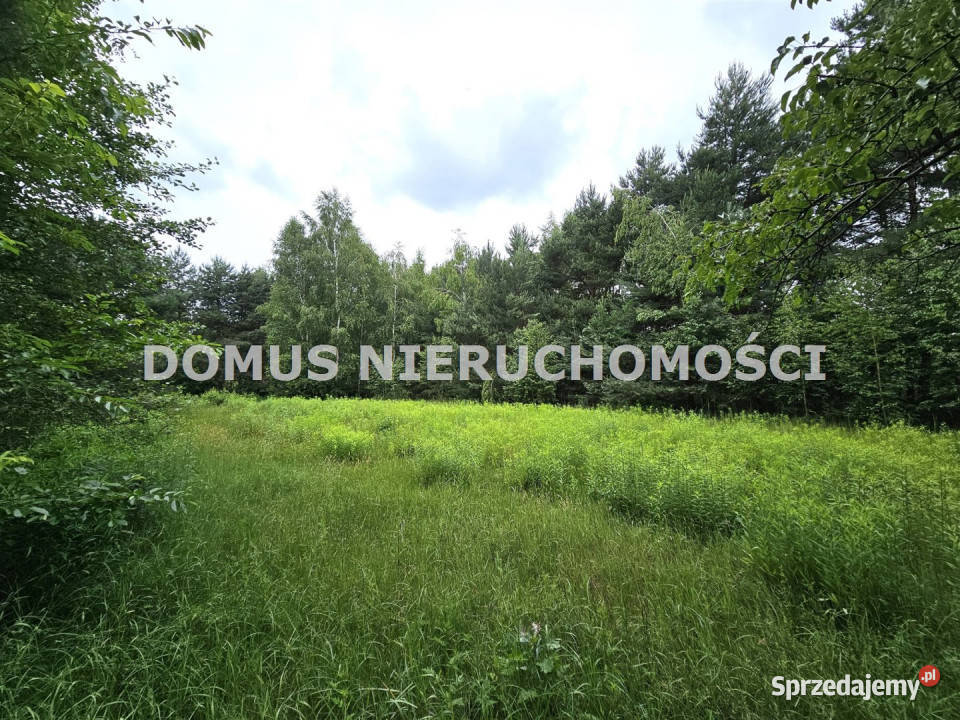 sprzedaży gruntu 22000m2 Brzeziny łódzkie