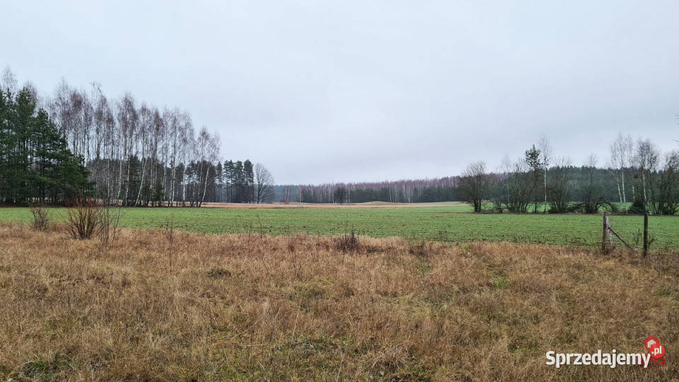 Grunt Pieńki 1743m2