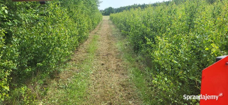 Usługi kosiarką bijakową koszenie trawy ugorów mazowieckie